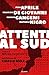 Attenti al Sud