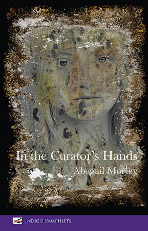 In the Curator's Hands