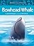 Animals Illustrated: Bowhead Whale