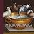 Micromosaics: Highlights fr...