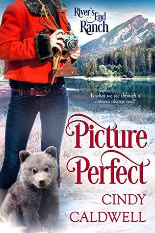 Picture Perfect (River's End Ranch, #45)