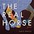 The Real Horse