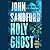 Holy Ghost (Virgil Flowers #11)