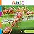 Ants