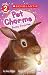 Bunny Surprise (Scholastic ...