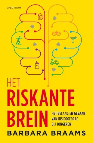 Het riskante brein (Paperback)