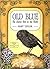 Old Blue by Mary Taylor
