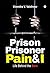 Prison Prisoner Pain & I  by Virendra V Vaishnav