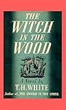 The Witch in the ...