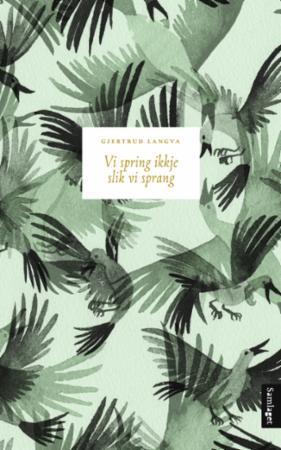 Vi spring ikkje slik vi sprang (Paperback)