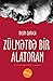 Zülmətdə Bir Alatoran