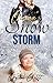 Omega's Snow Storm (Snowed Inn, #1)