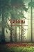 Laioni: A Romance Adventure...
