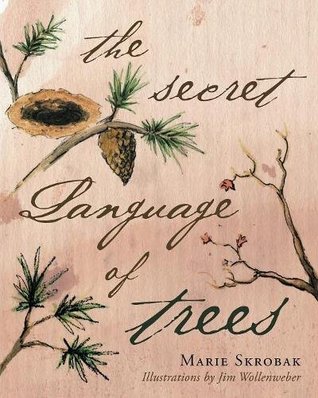 The Secret Language Of Trees (Paperback)
