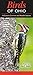 Birds of Ohio: A Guide to C...