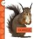La Ardilla / Squirrels (Spot Animales del patio)
