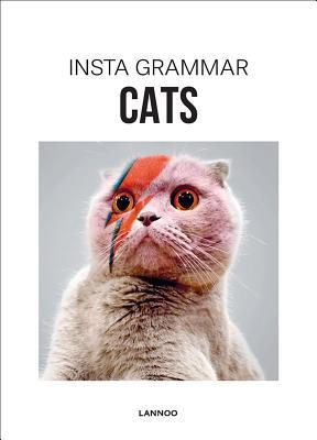 Insta Grammar: Cats (Hardcover)