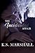 The Incidental Affair by K S Marshall