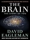 The Brain by David Eagleman