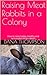 Raising Meat Rabbits in a Colony by Dana Thompson