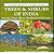 A Naturalist's Guide To The Trees & Shrubs Of India by Pradeep Sachdeva