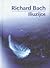 Iliuzijos by Richard Bach