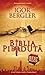 Biblia pierdută by Igor Bergler
