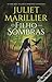 O Filho das Sombras (Sevenwaters, #2)