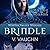 Brindle (Winter Valley Wolves, #1)