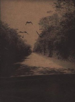 On The Road, Everglades (Paperback)