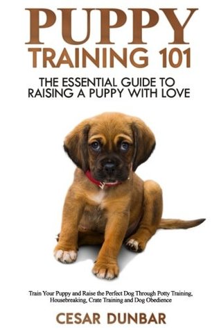 essential puppy training