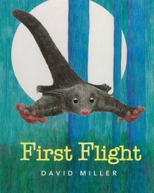 First Flight (Paperback)