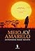Meio Sol Amarelo by Chimamanda Ngozi Adichie