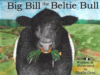 Big Bill the Beltie Bull (Paperback)