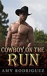 Cowboy On The Run