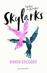 Skylarks by Karen Gregory