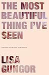 Book cover for The Most Beautiful Thing I've Seen: Opening Your Eyes to Wonder