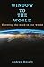 Window to the World: the numbers behind the need