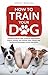 How to Train Your Dog: Comp...