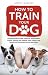 How to Train Your Dog by Harvey Madison