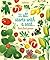 Usborne Big Picture Book How Food Grows