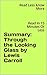 Summary: Through the Lookin...