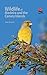 Wildlife of Madeira and the Canary Islands: A Photographic Field Guide to Birds, Mammals, Reptiles, Amphibians, Butterflies and Dragonflies (Wildlife Explorer Guides)