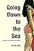 Going Down to the Sea by Ko-Lin Chin