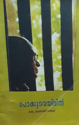 Pokkuveyilil