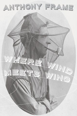 Where Wind Meets Wing (Paperback)