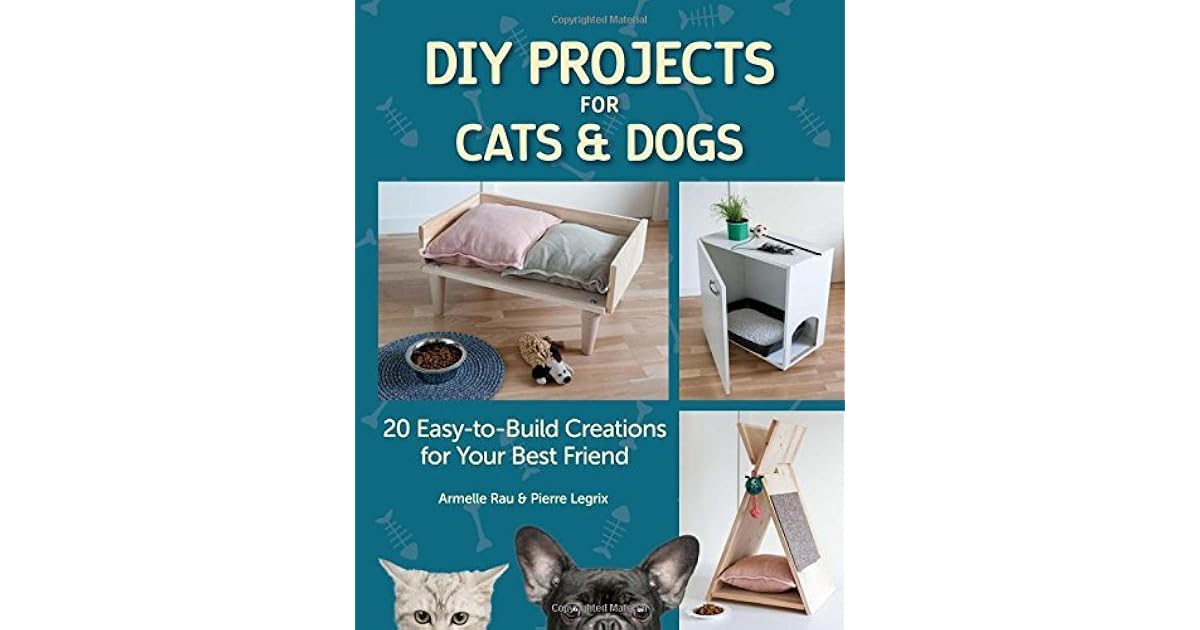 DIY Projects for Cats and Dogs 20 EasyToBuild Creations for Your