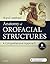 Anatomy of Orofacial Structures: A Comprehensive Approach