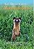 San Diego County Mammal Atlas
