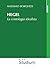 Hegel: La cristologia ideal...